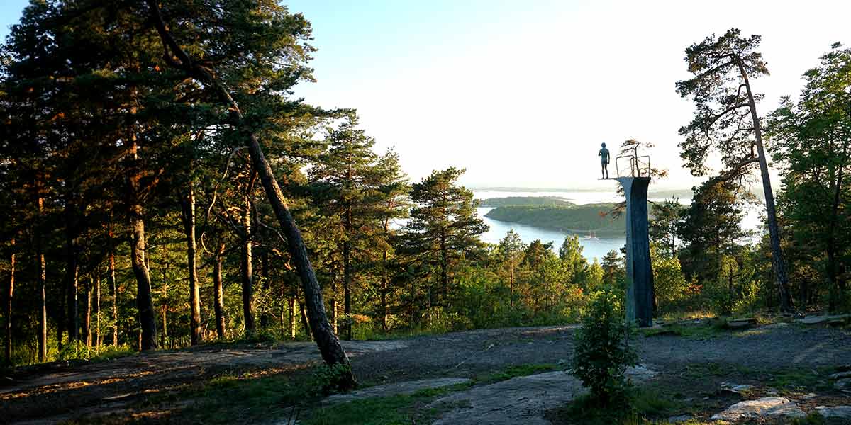 Norway forest Hero Norway forest Hero
