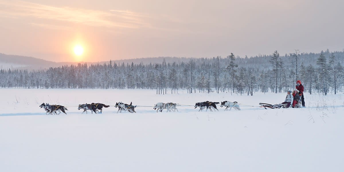 Sweden - dog sledding adventure -  PhotoCredit Anna Ohlund