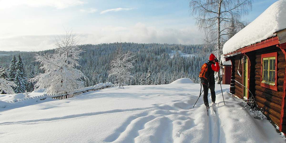 Langrend i Norge - PhotoCredit Visitoslo Tord Baklund