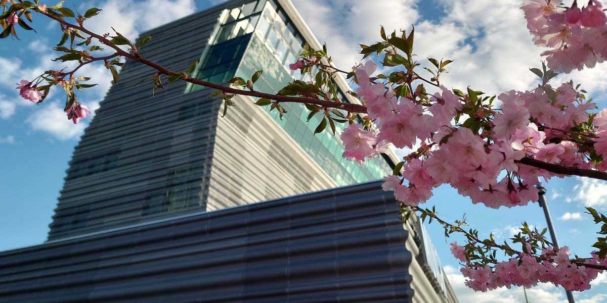 Kultur i Oslo Kultur i Oslo