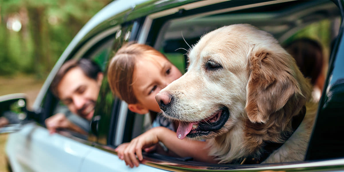 Family in a car with a dog Family in a car with a dog