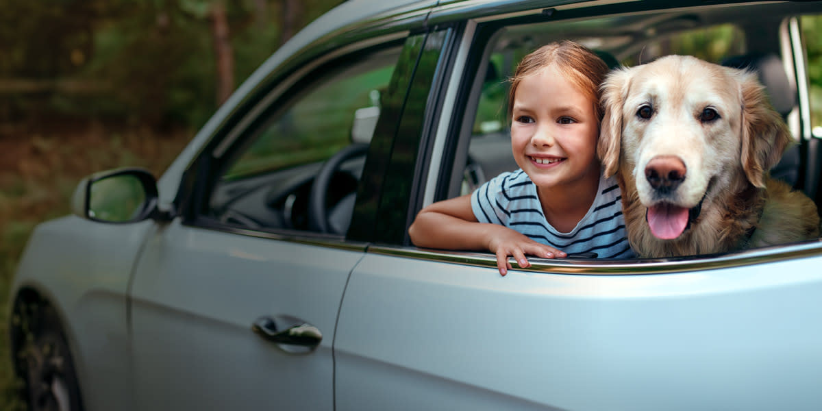 Child and dog in the car EBO Web Hero