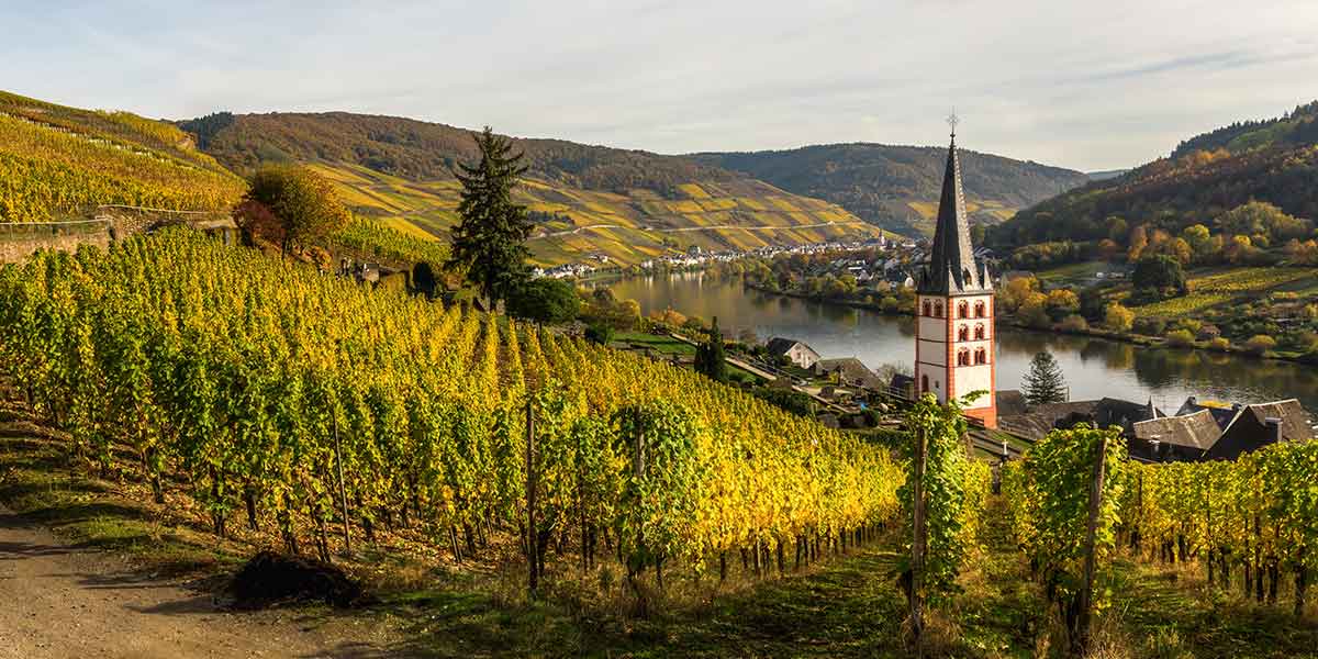 Moselle Merl valley in Germany Germany-Moselle Merl