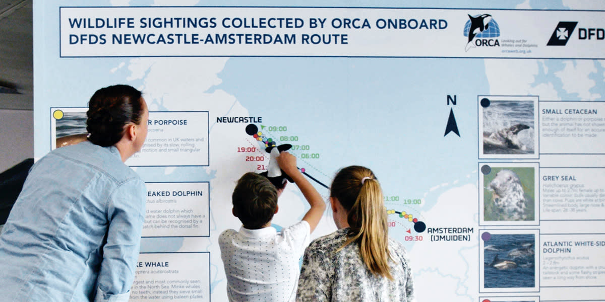 Orca LandingPage Image1